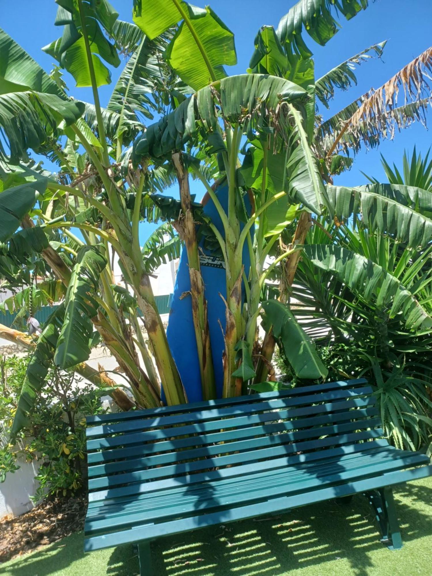Ericeira Su Villa'S 외부 사진